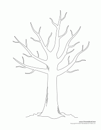 School's out for summer, so keep kids of all ages busy with summer coloring sheets. Tree With No Leaves Coloring Page Coloring Pages For Kids And Coloring Home