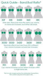 How Are Bra Sizes Measured Quora