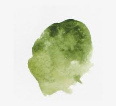 Check spelling or type a new query. Design Tips Green Watercolor Texture Png Png Image Transparent Png Free Download On Seekpng