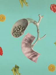 5 alimentos que previnem as pedras na vesícula e reduzem seus sintomas -  26102018 - UOL VivaBem