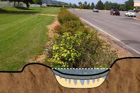 Rain gardens add beauty to your yard while reducing the time and resources you will spend maintaining a lawn. Rain Gardens Alabama Cooperative Extension System
