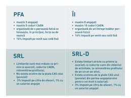 Cum Să Faci Alegerea Potrivită Pfa Intreprindere Individuală Sau Srl Srl D