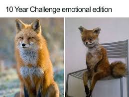 35 Funniest Memes That Mock The 10 Year Challenge Funny Memes Best Memes Memes