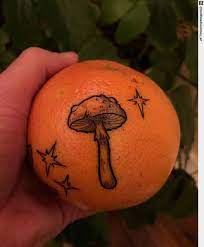 Weird or not, it looks really good and it can be an a small and simple fine line mushroom tattoo will always fit in. Tattoo Ness A Twitter It May Be Small And Simple But I Think This Might Be My Favourite Mushroom So Far What Do You Folks Think Mushrooms Https T Co Ayrfhtdpc3