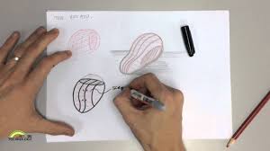 Can be described using mathematical terms; Sketching Organic Shapes Youtube