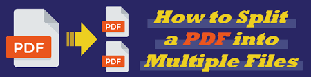 How to Split a PDF into Multiple Files [Comprehensive Guide]