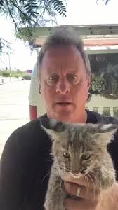 Mark Animal Experts Owl