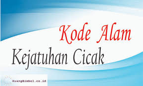 Lantaran mimpi ini miliki arti akan hadirnya kebahagiaan dalam rumah tangga atau keluarga. Kode Alam Kejatuhan Cicak 8 Angka Erek Erek Ruangbimbel Co Id