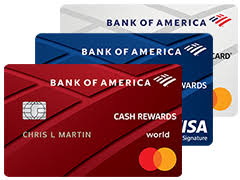 One good alternative is the business advantage travel rewards world mastercard® credit card, which offers 3 points / $1 spent on travel booked through the bank of america travel center and 1.5 points / $1 on all other purchases. Bank Of America Business Credit Card Financeviewer