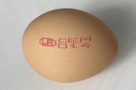 The two species of salmonella are salmonella enterica and salmonella bongori. Second Batch Of Eggs From Malaysia Recalled After Salmonella Bacteria Detected Singapore News Top Stories The Straits Times