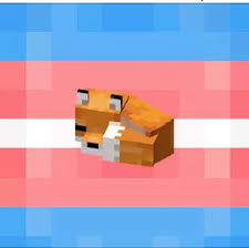 18 secrets about foxes in minecraft. Foxes Wearing Thigh Highs With The Trans Flag Minecraft Texture Pack