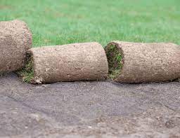 Azusa pacific university's san diego regional campus combines a quality apu education with local convenience. Sod San Diego Sod Delivery In San Diego Instant Online Quote