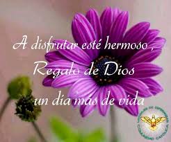 Ver Imagenes Bonitas De Buenos Dias Para Facebook Imagenes De Bonitas Para Descargar Gratis