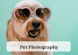 Renee Emma Photography Telling YOUR Story through stunning photography