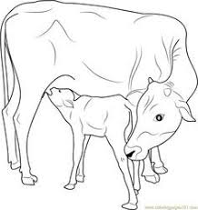 Indian Cow With Calf Coloring Page Free Cow Coloring Pages Cow Coloring Pages Farm Animal Coloring Pages Cow Drawing
