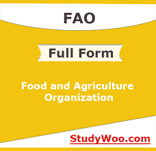 Update of april 2019 collection. Full Form Of Fao What Is The Full Form Of Fao Studywoo