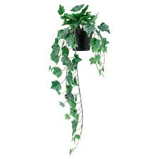 Get ready to bring the outdoors inside! Fejka Artificial Potted Plant Indoor Outdoor Hanging Ivy 4 Ikea