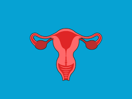 The three female parts of a plant are called the stigma, style and ovary. Female Reproductive System Anatomy Diagram Function Healthline