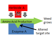 mechanisms of herbicide resistance pesticide environmental