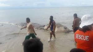 We did not find results for: Ini 6 Misteri Samudra Pasifik Salah Satunya Monster Di Indonesia Global Liputan6 Com