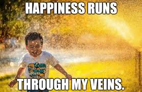 150 Happy Quotes And Caption Ideas For Instagram Turbofuture Technology One thing that helps me is to look at happy photos and quotes and i seem to start feeling uplifted.