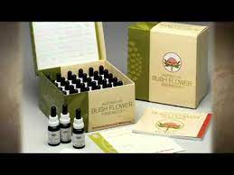 Making flower essences is very easy and is a highly recommended way to connect with the natural world and anyone can do it very easily. How To Use The Australian Bush Flower Essences Youtube