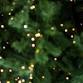 Tinsel Trees for Teens and Tweens event image