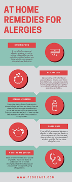 Guide To Allergies + At-Home Remedies For Seasonal Allergies
