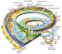 timeline of life evolution on earth motivational stories