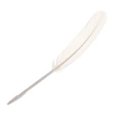 Feather Pen Feather Quill Pen Feather Pen Feather