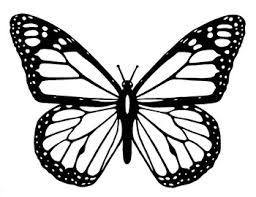 Read full profile sometimes the past can feel incredibly distant, like stories that people tell rather than lives that were actually lived. Free Butterfly Life Cycle Butterfly Coloring Page By The Harstad Collection
