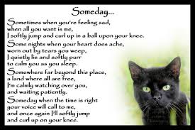 Just some quotes and poems that inspired me to share them,so i did. Cat Funeral Poems