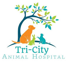 Designs Create A Memorable Logo For A Veterinary Practice Logo Design Contest Pet Logo Design Clinic Logo Animal Logo