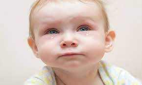 Kondisi ini akan menghambat aliran air mata bayi ke rongga hidung, sehingga mata bayi pun berair perhatikan cara memberikan obat mata pada bayi, tanyakan dengan jelas cara pakainya. Mata Berair Dan Bertahi Mata Mama Ingat Ia Normal Tapi Sebenarnya June 2021 Kelabmama Malaysia