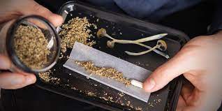 What Happens If You Smoke Magic Mushrooms Mushmagic