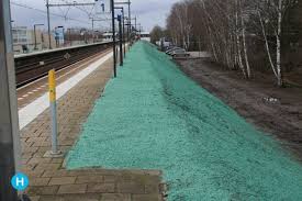 Prorail is verantwoordelijk voor het spoorwegnet van nederland. Duurzame Methode Prorail Voor Beplanting Taluten Ditishelmond Nl
