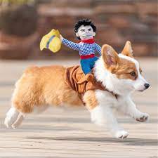 Free for commercial use no attribution required high quality images. Manfiter Pet Costume Dog Costume Pet Suit Cowboy Rider Style Dog Cat Funny Golden Retriever Halloween Party Costume Clothes Walmart Com Walmart Com