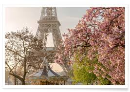 Cherry blossom season is a major tourist draw for any city that's lucky enough to grow these ornamental cherry trees. Cherry Blossom Poster Juniqe