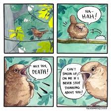 intense bird memes to ruffle some feathers 40 memes in 2021 funny animal comics cute comics animal comics