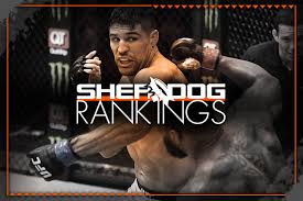 Dominick reyes, jiří procházka, ufc fight night. Sherdog S Official Mixed Martial Arts Rankings Signature Moment