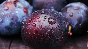 See what plum pictures (plumpictures) has discovered on pinterest, the world's biggest collection of ideas. Prunes Vs Plums How Are They Different