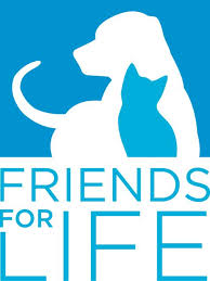 Friends For Life No Kill Animal Adoption Rescue Shelter Animal Shelter Animal Rights Organizations Pet Adoption