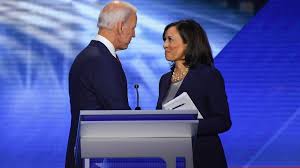 Image result for Bidens diversa