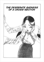 The Desperate Sadness Of A Cross-Section - Original Hentai Manga by Kago  Shintarou - Pururin, Free Online Hentai Manga and Doujinshi Reader