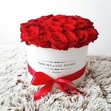 We did not find results for: Million Loves And Million Roses The Red Ones Million Roses Rare Flowers Entertaining Gifts