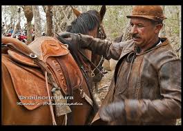 Resultado de imagem para dia do sertanejo