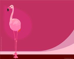 Custom made unique wallpaper designed to suit you with quick free worldwide shipping! Flamingo Computer Wallpapers Top Free Flamingo Computer Backgrounds Wallpaperaccess