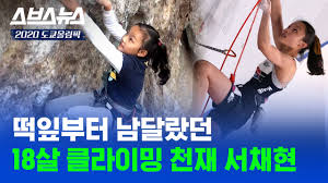 '세상에 이런일이' 큰 상처 입은 고양이의 충격적인 사연, 스포츠클라이밍 서채현 선수 등 출연 온라인 기사 2021.07.20 17:30 일요신문 20일 방송되는 sbs '세상에 이런 일이'에 허리 다친 고양이의 사연이 소개된다. Vgoo1acikxnjjm