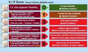 Visual Infusion Phlebitis Score Nursing Classes Nursing