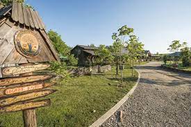 Aerul proaspăt, explozia de culori ale frunzelor copacilor și poate savurarea unei cafele alături de o carte. Locuri De Vizitat Cu Copiii Pe LangÄƒ BucureÈ™ti Snagov È™i CÄƒldÄƒruÈ™ani